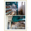 Barton Automatic Feeding Machine